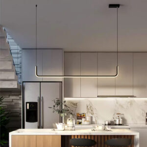 Pakabinamas šviestuvas 010