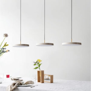 Pakabinamas šviestuvas 014